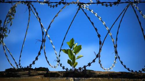 Что Тёме нужно?