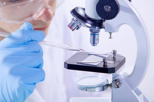 Что увидели Нобелевские лауреаты сквозь толщу льда?