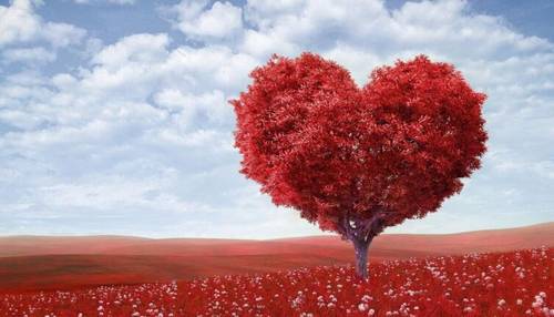 Как провести День влюбленных всей семьей?