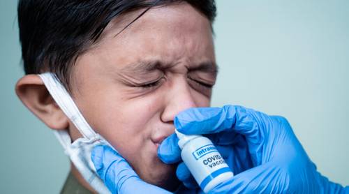 Где взять назальную вакцину от коронавируса, как у Путина?