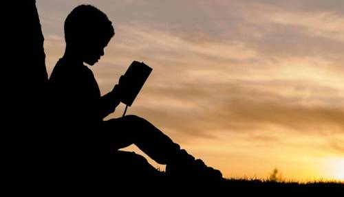 В чем различие между умом и мудростью в представлении первоклассника?