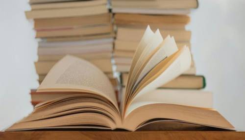 «Журавли и карлики». Что почитать об иллюзиях, питавших страну в 90-е?