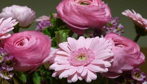 Какие цветы подарить на 8 Марта?