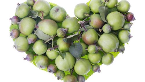 Как одиноким женщинам правильно гадать на недозревших яблоках?