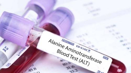 Повышены АЛТ и АСТ в анализе крови: что это значит и серьезно ли это?