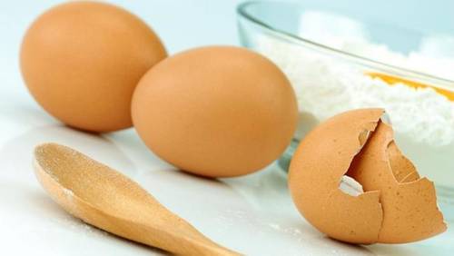 В чем польза яичной скорлупы?
