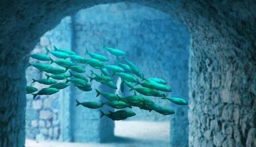 Загадки планеты: что до сих пор разгадывают ученые?