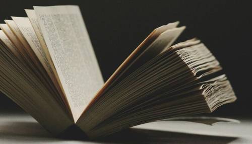 Книга Тинатин Мжаванадзе «Лето, бабушка и я». За что могли четвертовать советскую школьницу?