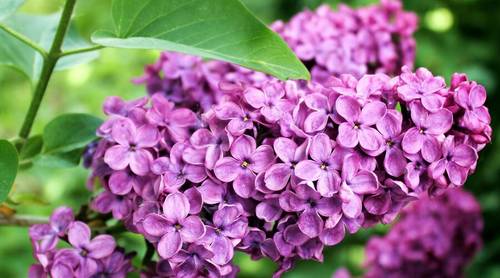 Ушел близкий человек. Как организовать достойные проводы?