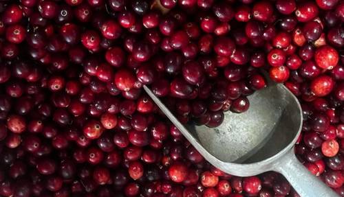 Какие продукты помогут укрепить иммунитет в сезон простуд?