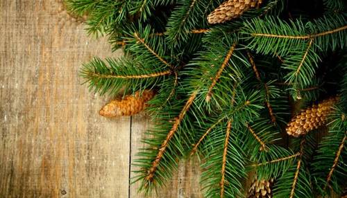 Главная дилемма декабря. Что нас объединяет?