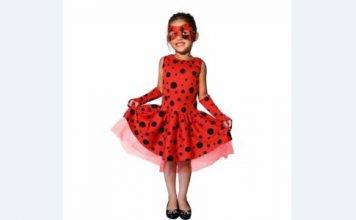 a roupa de ladybug