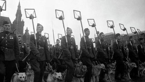 Саперы с собаками минно-розыскной службы проходят по Красной площади во время Парада Победы