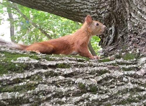 Научный взгляд на приметы