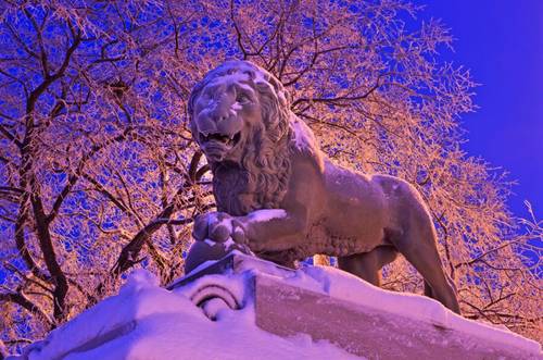 Скульптура льва в Санкт-Петербурге