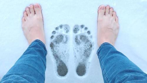 Как дружили Митяй и Жучок?